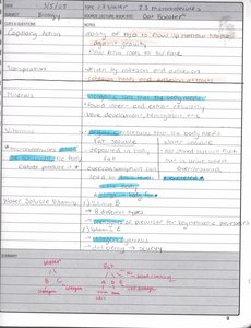 Capillary action diagram