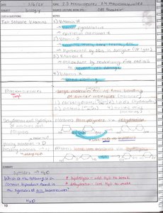 Vitamin structure and function diagram