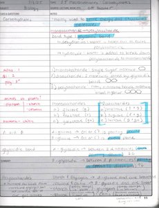 Monosaccharide and disaccharide structure