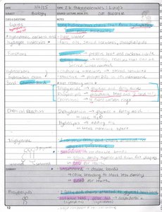 Triglyceride and phospholipid structure