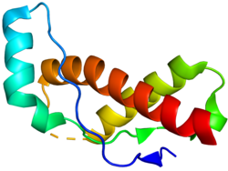 Ribbon diagram of a protein structure