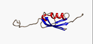 Ribbon diagram of an intrinsically disordered protein