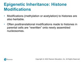 Diagram showing histone tail modifications and their effects on gene activity
