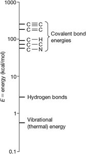 Energies of biologically important bonds