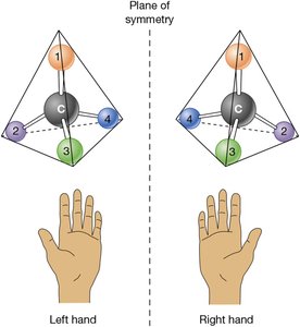Stereoisomers and asymmetric carbon atoms