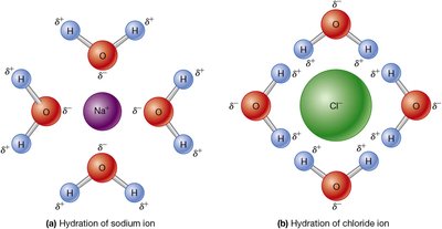 Hydration of sodium and chloride ions by water