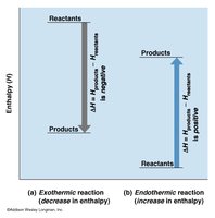 Graph comparing exothermic and endothermic reactions in terms of enthalpy changes