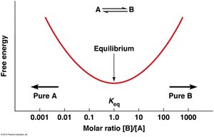 Graph showing the relationship between free energy and the molar ratio of products to reactants at equilibrium
