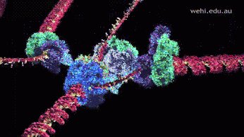 Active site of enzyme