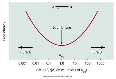 Free energy and equilibrium diagram