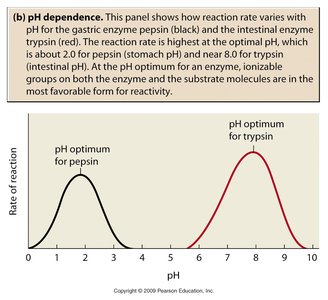 pH dependence of enzyme activity