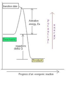 Exergonic reaction energy diagram