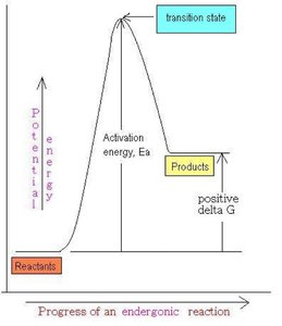 Endergonic reaction energy diagram