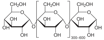 Structure of amylopectin (branched starch)