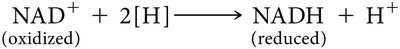 NAD+ reduction equation