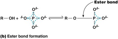 Resonance stabilization