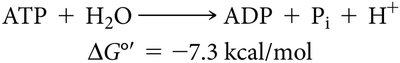 ATP hydrolysis equation