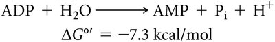 ADP hydrolysis equation