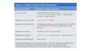 Table of typical signal sequences for protein targeting