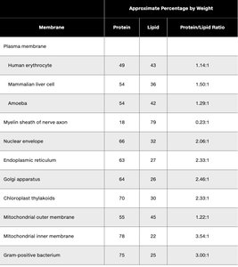 Protein and Lipid Content of Biological Membranes