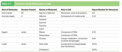 Table of common small molecules in cells