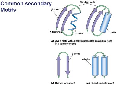 Types of bonds in tertiary structure