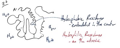 Nucleic acid components: sugars, bases, phosphate