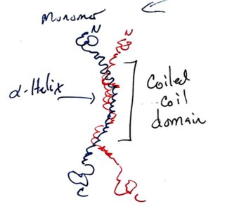 Handwritten purine and pyrimidine structures