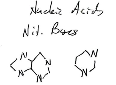 Handwritten nitrogenous base structures