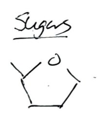 Handwritten sugar structure