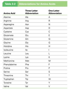 Table of amino acid abbreviations