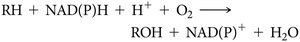 Hydroxylation reaction catalyzed by cytochrome P-450
