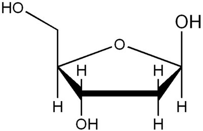 Deoxyribose sugar structure