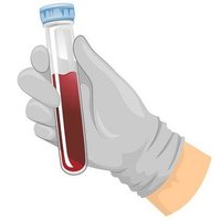 Gloved hand holding a test tube with blood sample