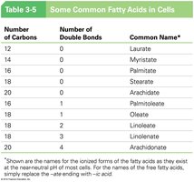 Saturated and unsaturated fatty acid structures