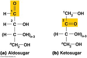 Aldosugar and ketosugar structures