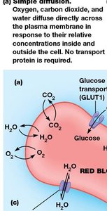 Partition coefficient diagram