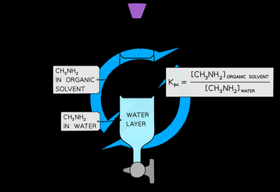 Simple diffusion and osmosis across a membrane