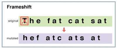 Frameshift mutation example with reading frame shift