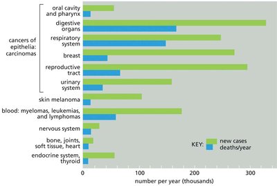 Cancer incidence and mortality by tissue type