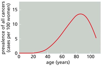 Graph showing cancer prevalence as a function of age