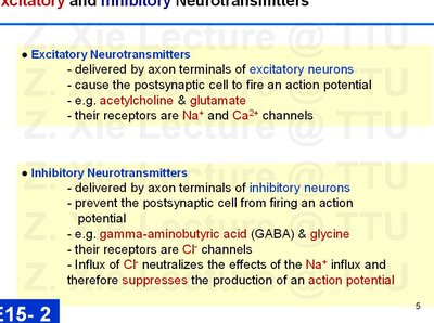 Lecture slide: Excitatory and inhibitory neurotransmitters