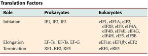 Translation factors table