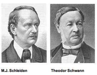 Portraits of Schleiden and Schwann, founders of cell theory