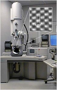 Examples of different cell types and their sizes