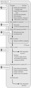 Summary of gene expression unit: DNA to protein and regulation points