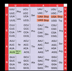 Genetic code table