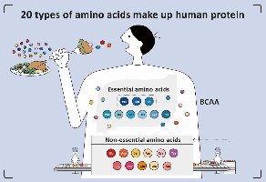 Amino acids in human protein