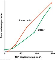 Na+ concentration vs transport rate for amino acids and sugars