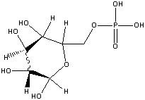 Phosphate group structure